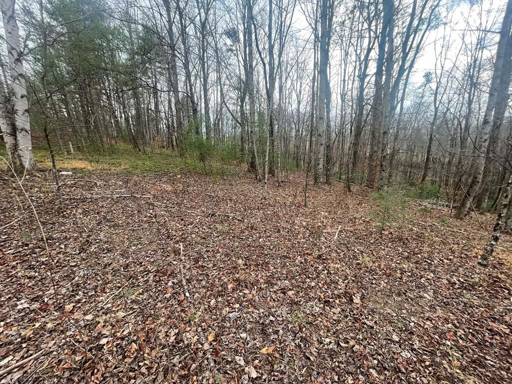 Photo of TBD Creekview Lane #2, Ararat, VA 24053 (MLS # 104483)
