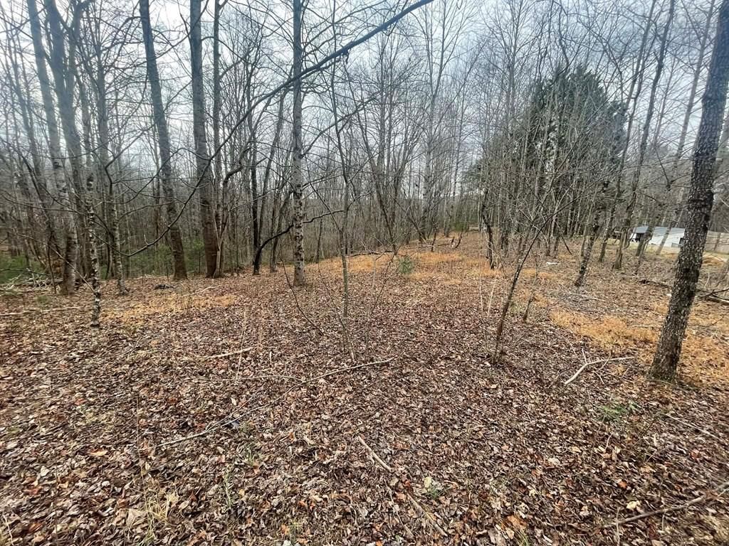 Photo of TBD Creekview Lane #2, Ararat, VA 24053 (MLS # 104483)