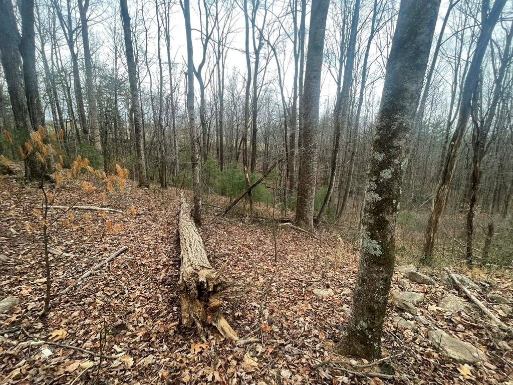 Photo of TBD Creekview Lane #2, Ararat, VA 24053 (MLS # 104483)