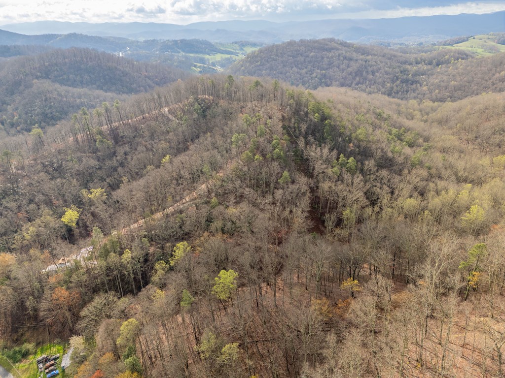 Marion, Virginia 24354, United States, ,Residential,Active,59877