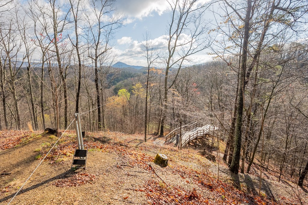 Marion, Virginia 24354, United States, ,Residential,Active,59877