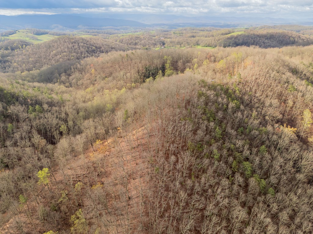 Marion, Virginia 24354, United States, ,Residential,Active,59877