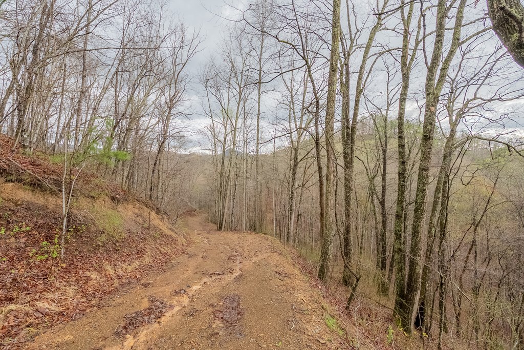 Marion, Virginia 24354, United States, ,Residential,Active,59877