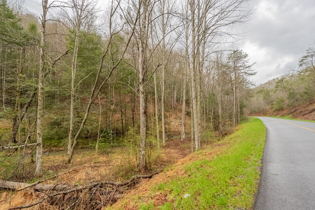 Marion, Virginia 24354, United States, ,Residential,Active,59877