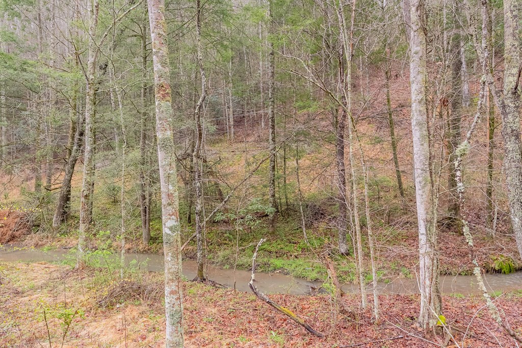 Marion, Virginia 24354, United States, ,Residential,Active,59877