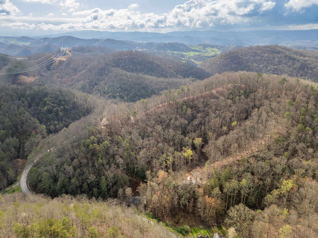 Marion, Virginia 24354, United States, ,Residential,Active,59877