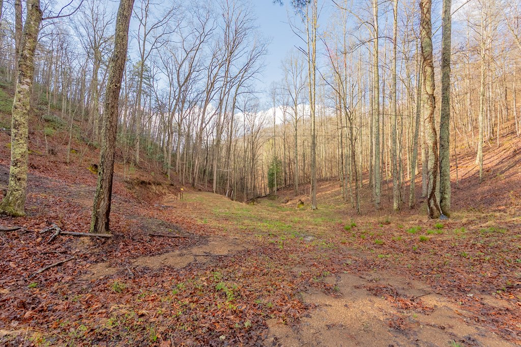 Marion, Virginia 24354, United States, ,Residential,Active,59877