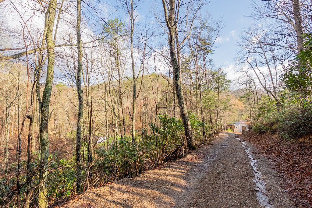 Marion, Virginia 24354, United States, ,Residential,Active,59877