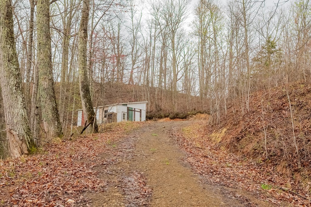 Marion, Virginia 24354, United States, ,Residential,Active,59877