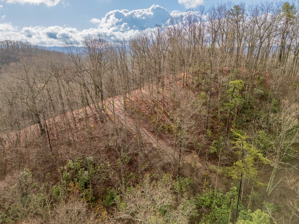 Marion, Virginia 24354, United States, ,Residential,Active,59877