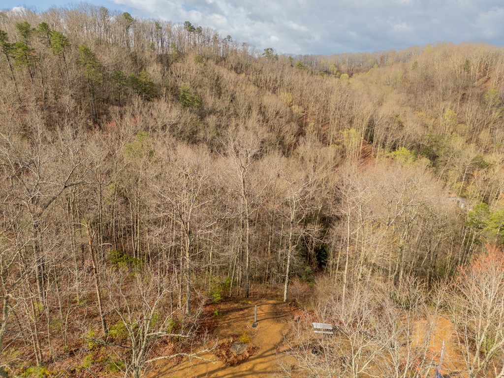 Marion, Virginia 24354, United States, ,Residential,Active,59877