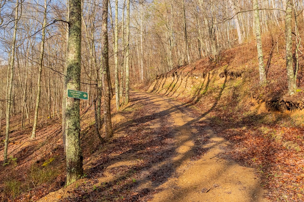 Marion, Virginia 24354, United States, ,Residential,Active,59877