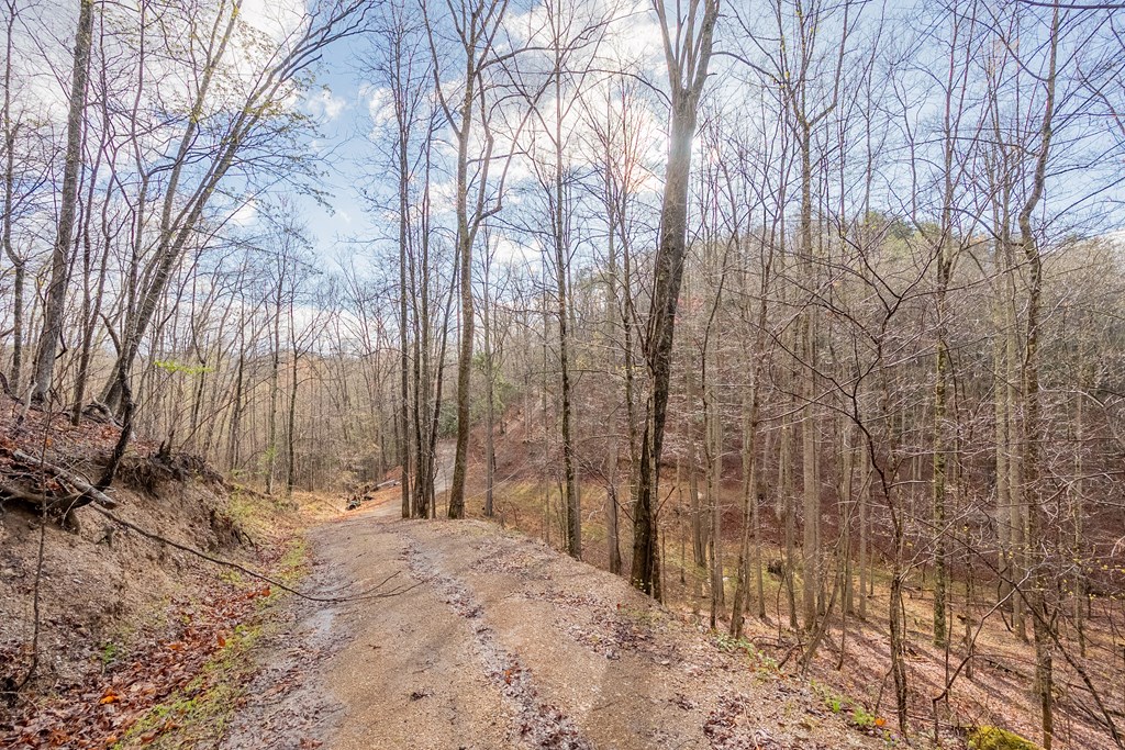 Marion, Virginia 24354, United States, ,Residential,Active,59877