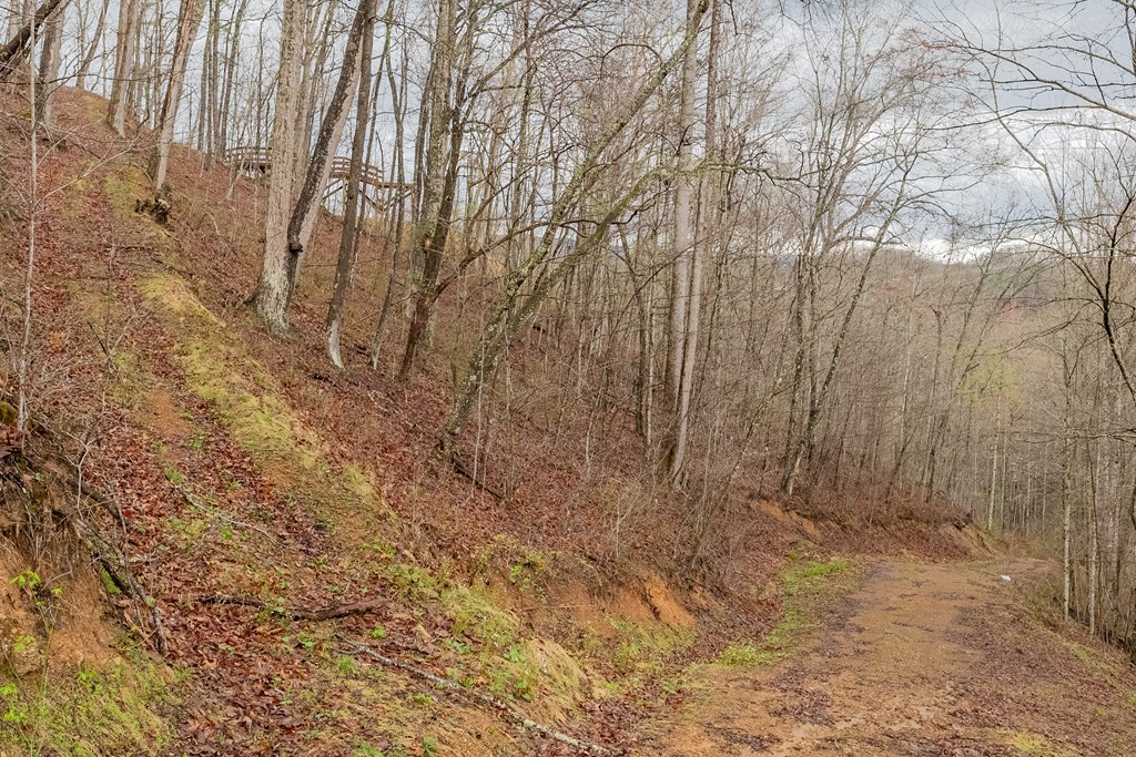 Marion, Virginia 24354, United States, ,Residential,Active,59877