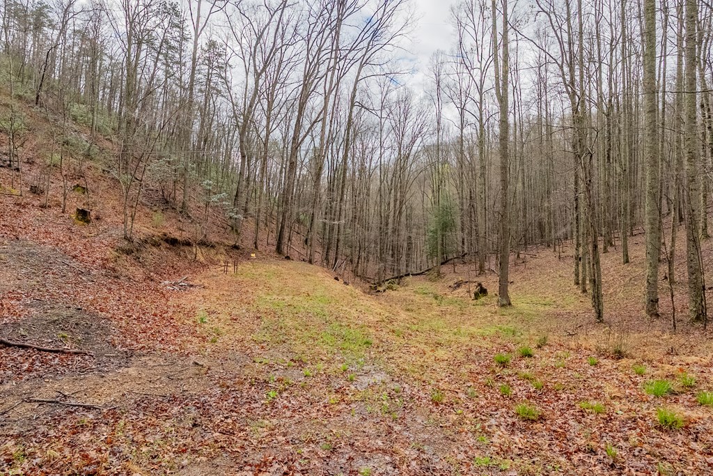 Marion, Virginia 24354, United States, ,Residential,Active,59877