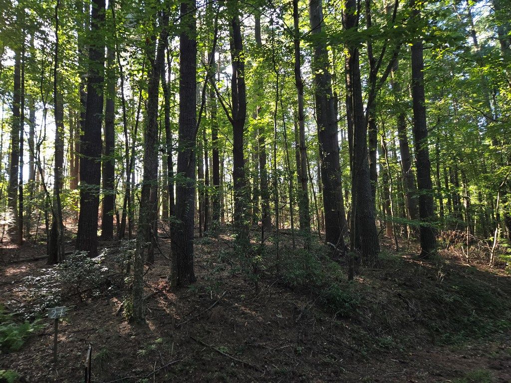 Photo of TBD Evergreen Trail #24, Fancy Gap, VA 24328 (MLS # 103239)