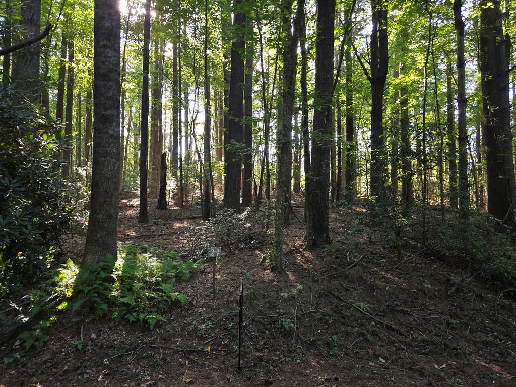 Photo of TBD Evergreen Trail #24, Fancy Gap, VA 24328 (MLS # 103239)