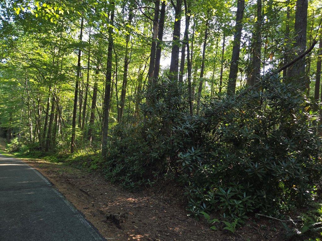 Photo of TBD Evergreen Trail #24, Fancy Gap, VA 24328 (MLS # 103239)