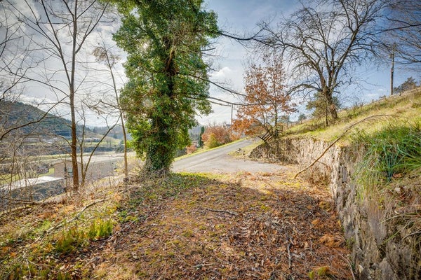 1ST ST, CEDAR BLUFF, VA 24609 - Image 0dacfebc314aa856aea4fcf3121c6085/2905891848