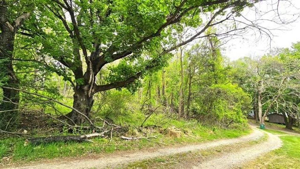 Photo of TBD Piedmont St #010435, Blacksburg, VA 24060 (MLS # 110881)