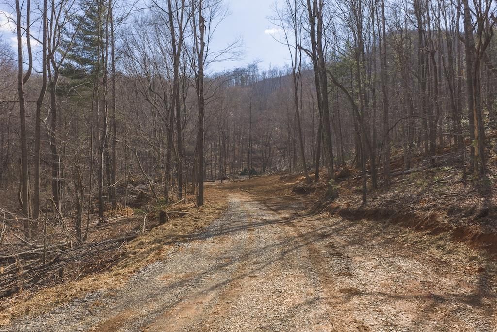 Photo of TBD Ferrum Forest Ln, Ferrum, VA 24088 (MLS # 109106)