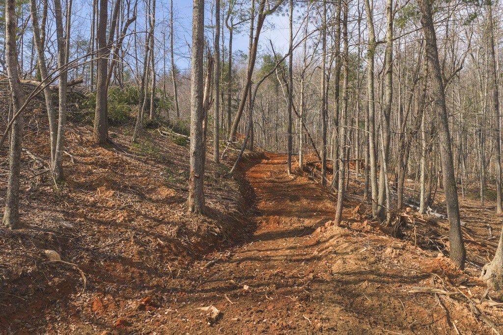 Photo of TBD Ferrum Forest Ln, Ferrum, VA 24088 (MLS # 109106)