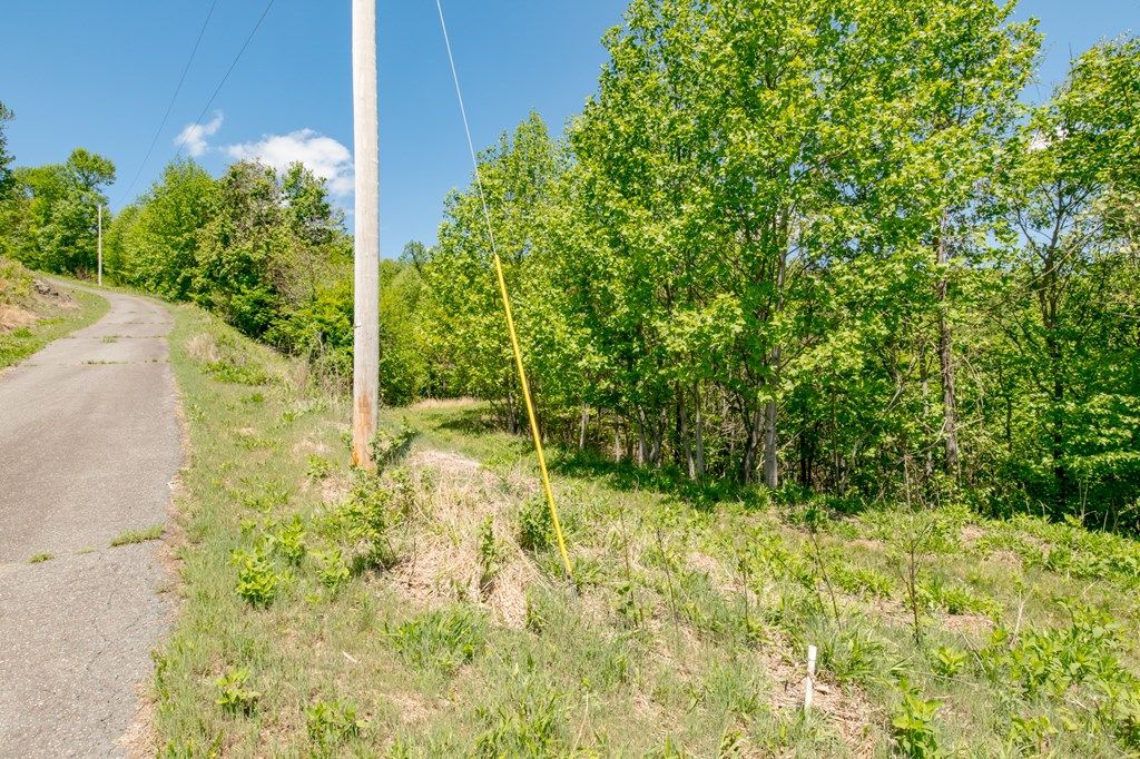 Photo of 83 Spring Pond Trl #83, Fancy Gap, VA 24328 (MLS # 109907)