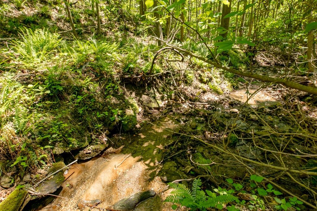Photo of 83 Spring Pond Trl #83, Fancy Gap, VA 24328 (MLS # 109907)
