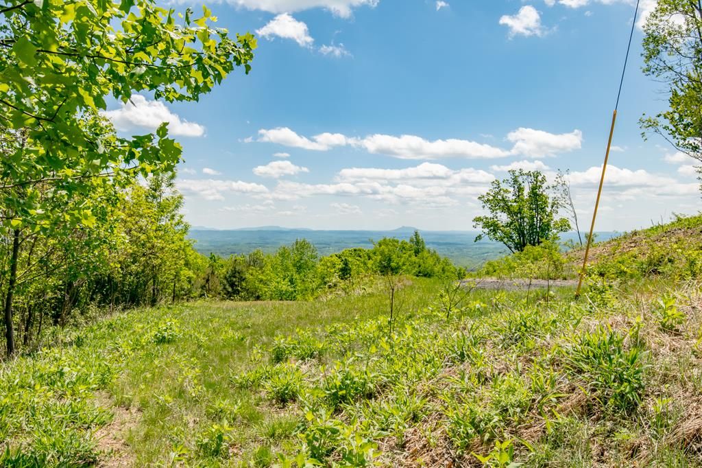 Photo of 83 Spring Pond Trl #83, Fancy Gap, VA 24328 (MLS # 109907)