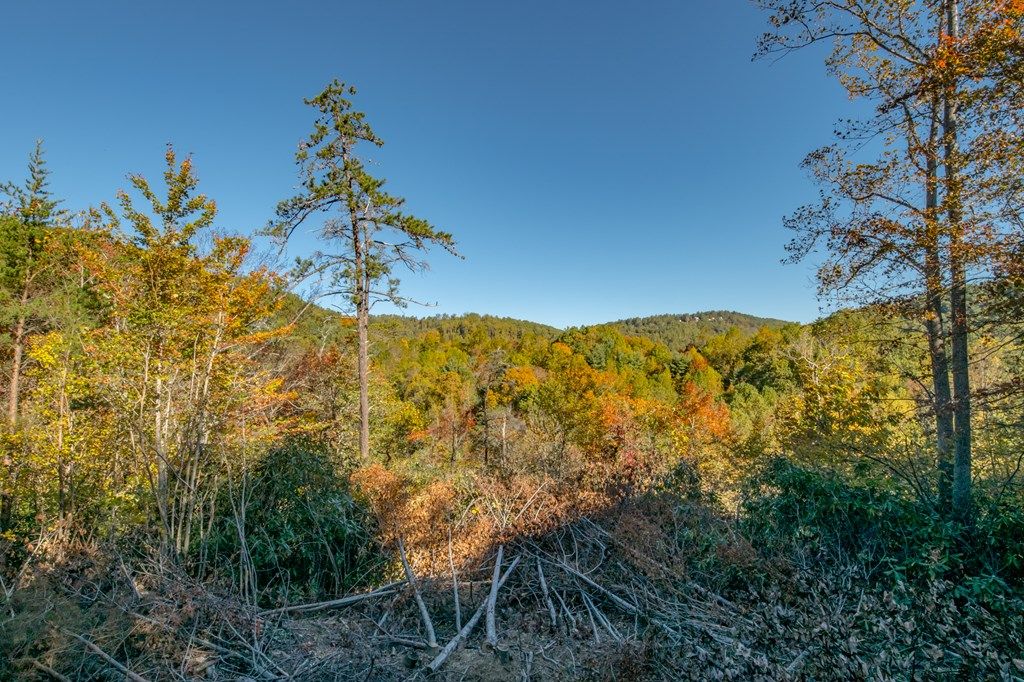 Photo of 23 Starry Nights Dr #23, Fancy Gap, VA 24328 (MLS # 103835)