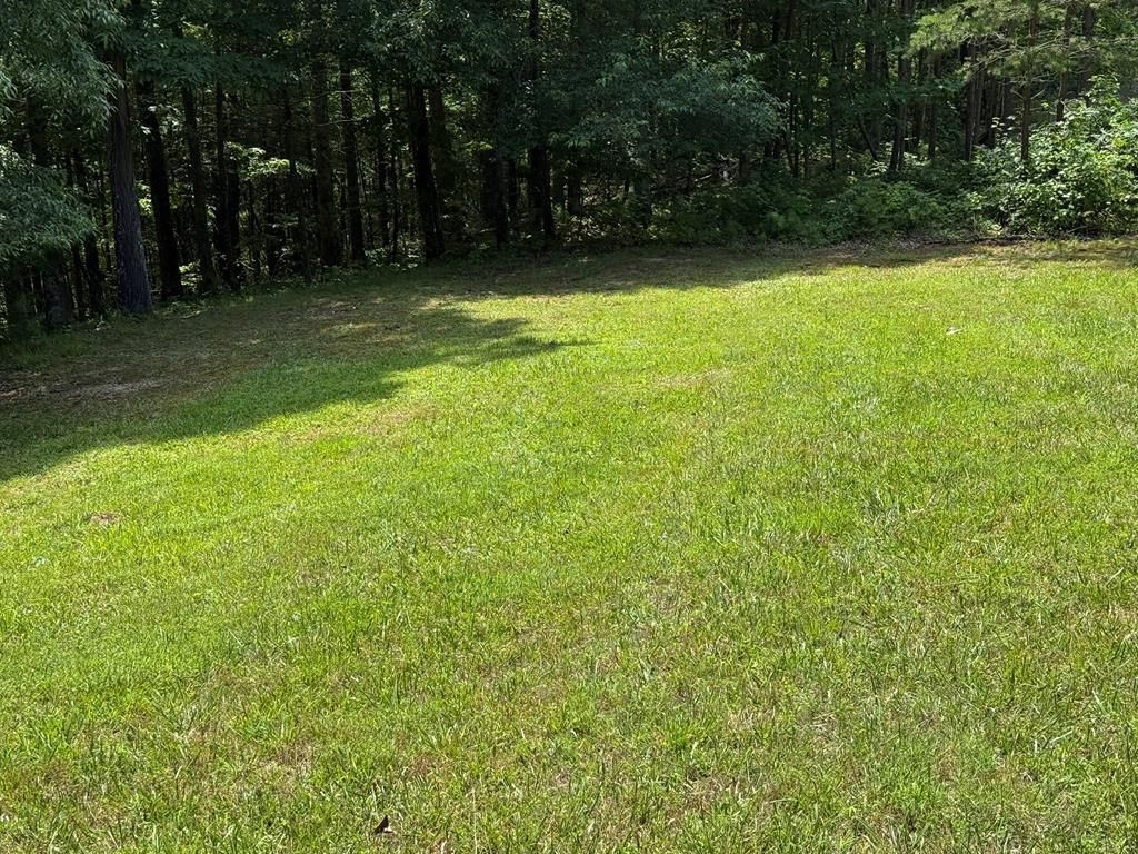 Photo of 43 New River Oaks #43, Austinville, VA 24312 (MLS # 103179)