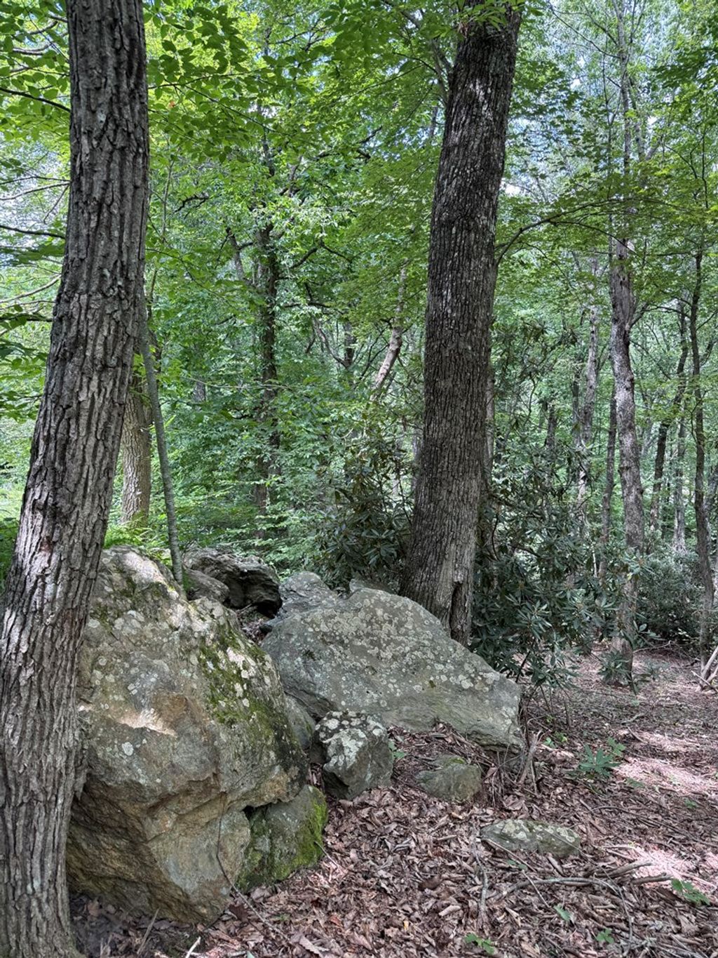 Photo of TBD TBD Seven Springs #1, Ararat, VA 24328 (MLS # 100788)