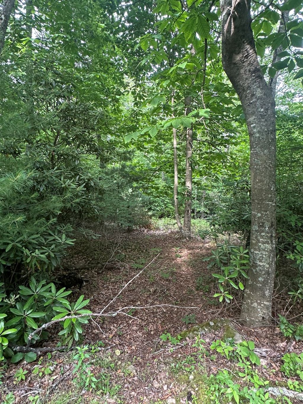 Photo of TBD TBD Seven Springs #1, Ararat, VA 24328 (MLS # 100788)