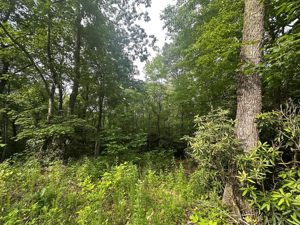 Photo of TBD TBD Seven Springs #1, Ararat, VA 24328 (MLS # 100788)