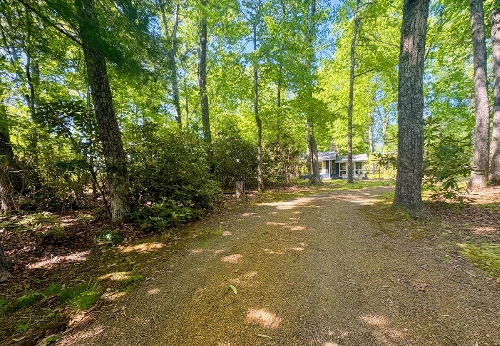 Photo of 324 Spring Branch Rd, Fancy Gap, VA 24328 (MLS # 110425)