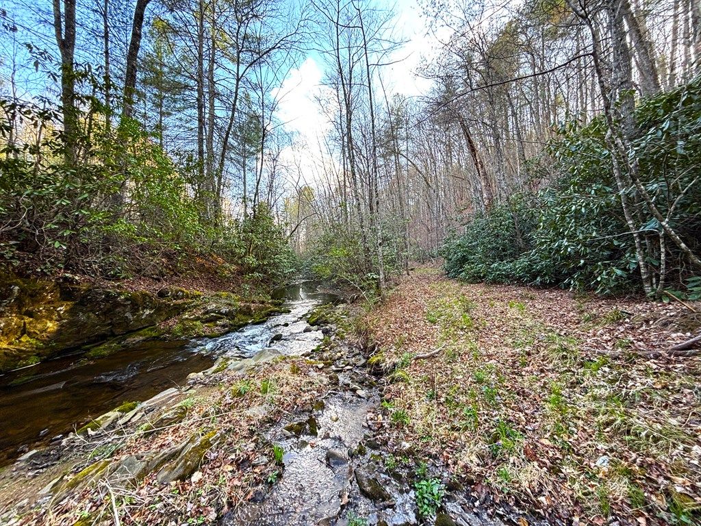 Photo of TBD Off Mitchells Mill, Claudville, VA 24076 (MLS # 109923)