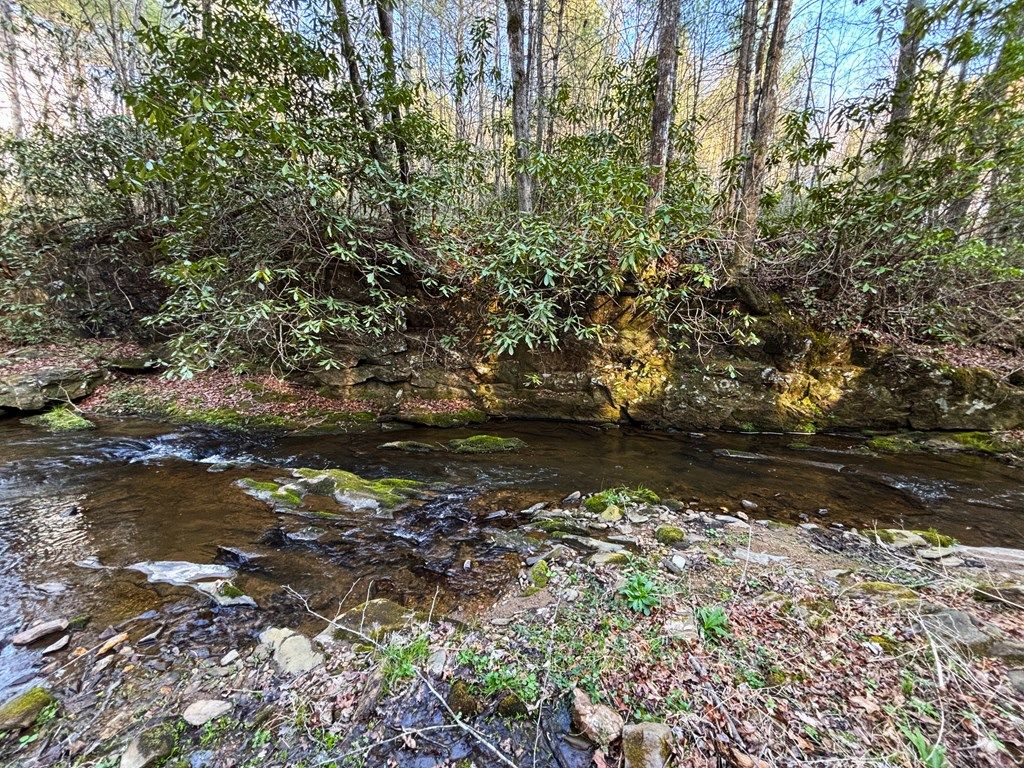 Photo of TBD Off Mitchells Mill, Claudville, VA 24076 (MLS # 109923)
