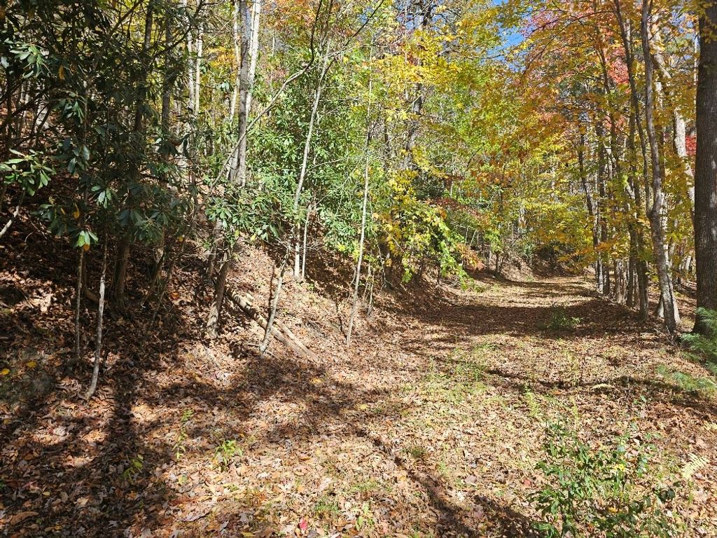 Photo of 2412 Summerfield Rd #17, Independence, VA 24348 (MLS # 103852)