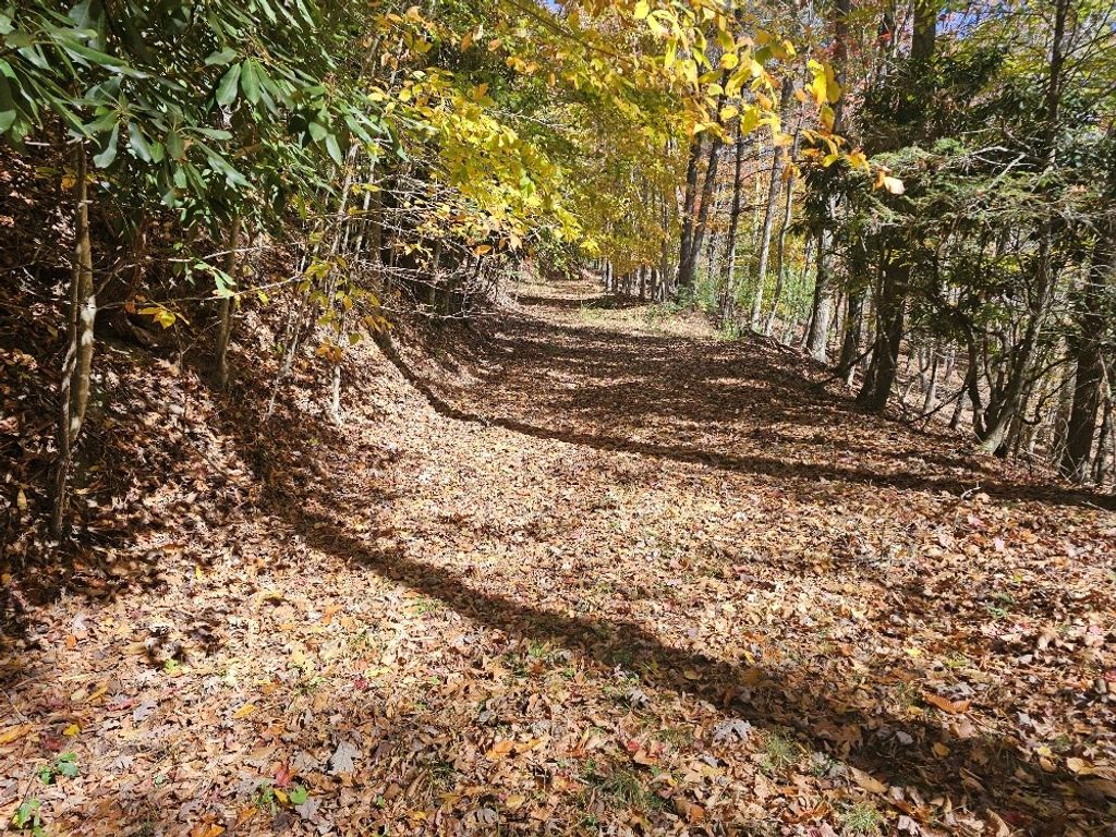 Photo of 2412 Summerfield Rd #17, Independence, VA 24348 (MLS # 103852)