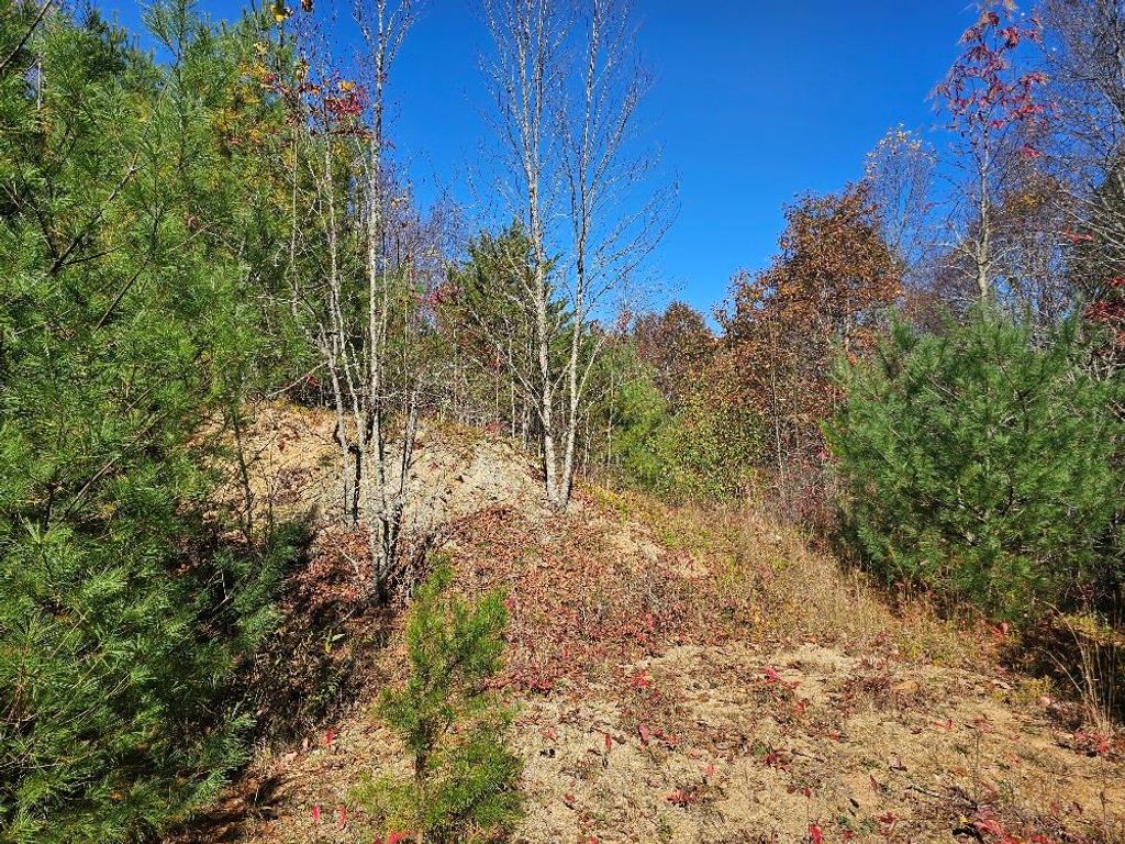 Photo of 2412 Summerfield Rd #17, Independence, VA 24348 (MLS # 103852)
