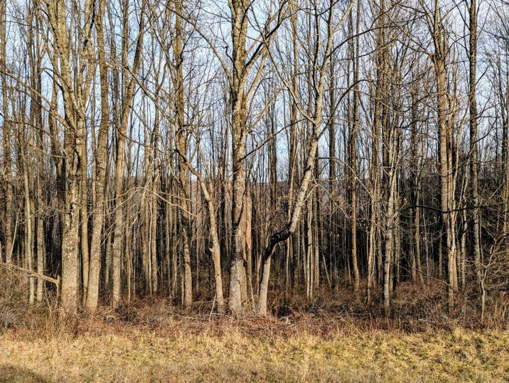 Photo of TBD Pinnacle Ln #4213-52, Meadows of Dan, VA 24120 (MLS # 104475)