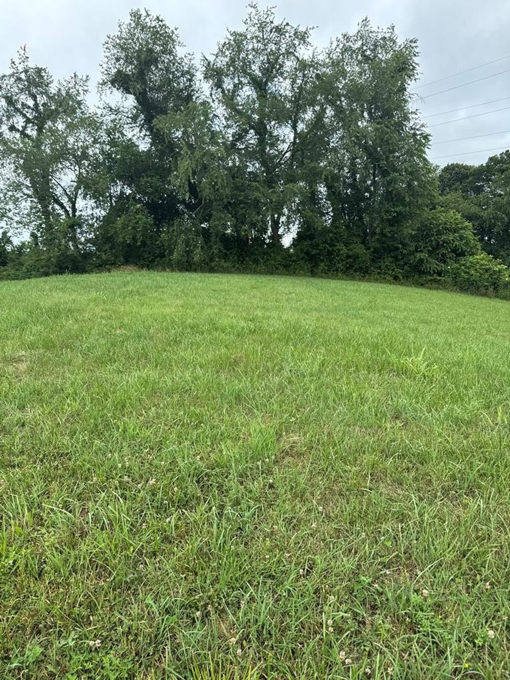 Photo of TBD Northwoods Trail #7, Abingdon, VA 24210 (MLS # 110679)