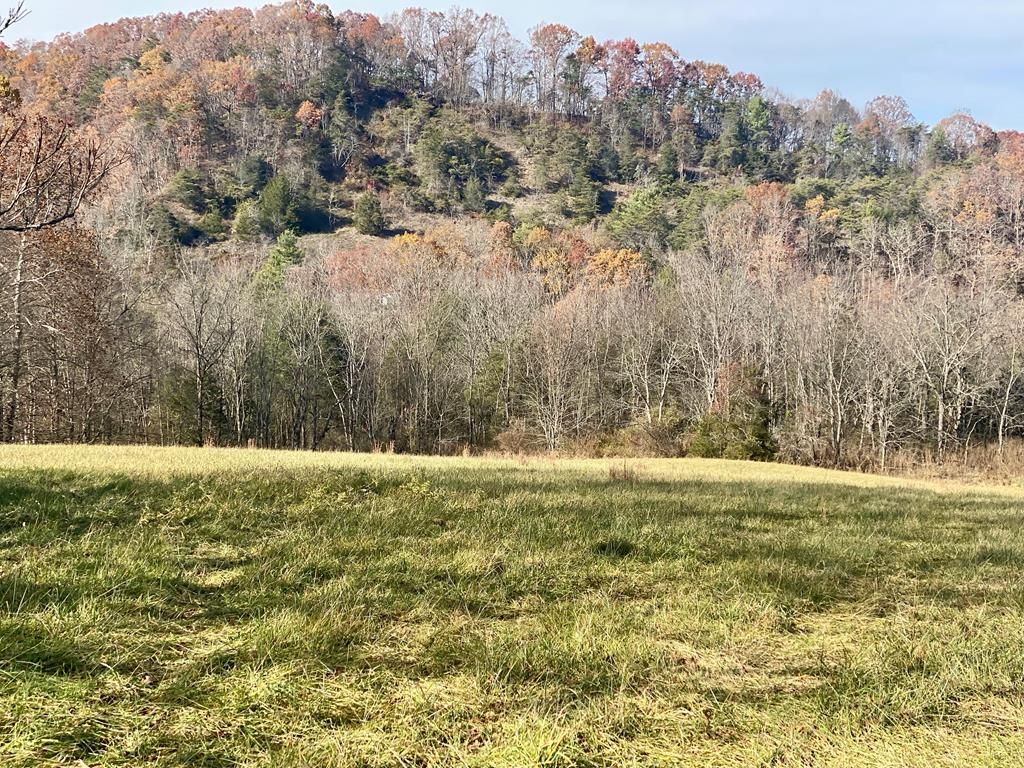 Photo of 4 W Lee Highway #4, Wytheville, VA 24382 (MLS # 104012)