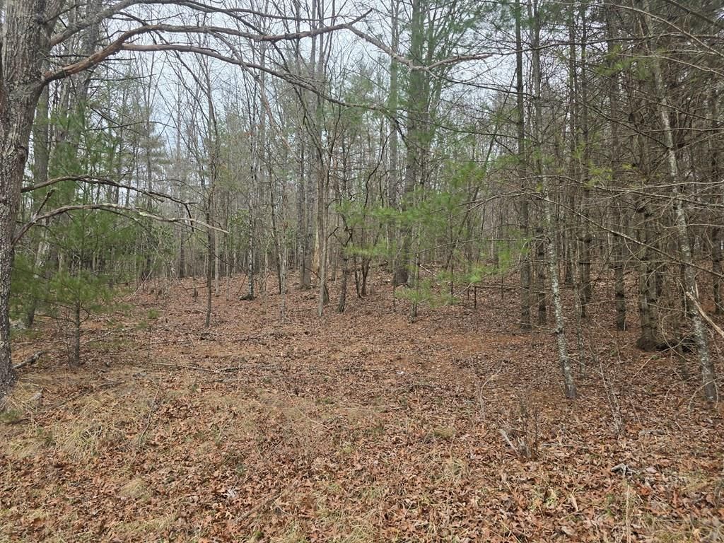 Photo of TBD Taylors Chapel Rd #0, Fries, VA 24330 (MLS # 98513)