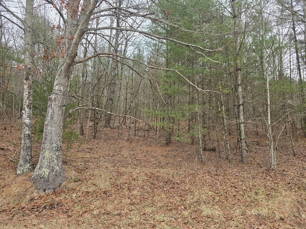 Photo of TBD Taylors Chapel Rd #0, Fries, VA 24330 (MLS # 98513)