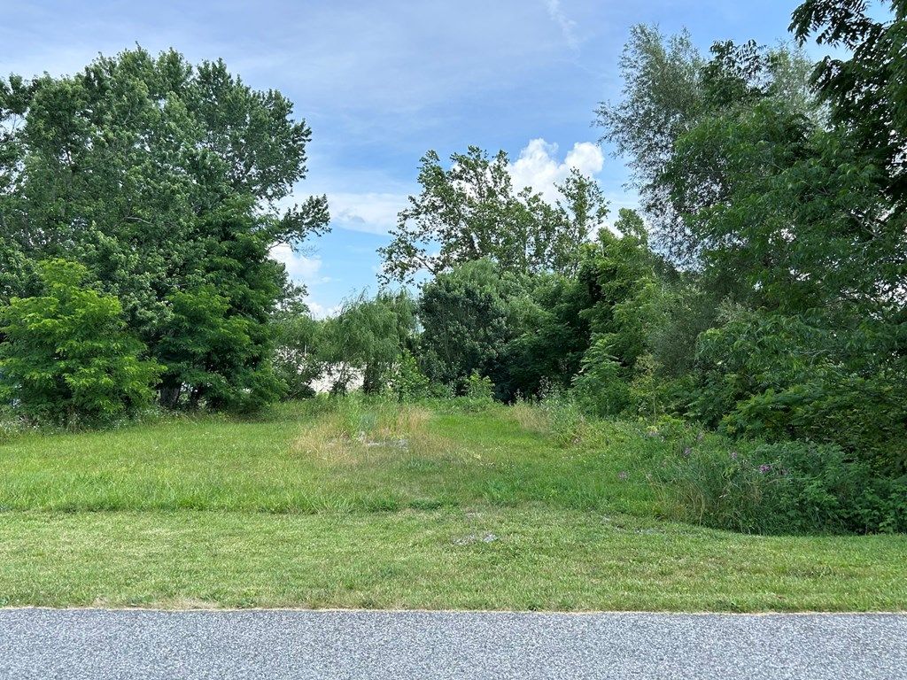 Photo of 52 W North St #1B, Wytheville, VA 24382 (MLS # 105775)