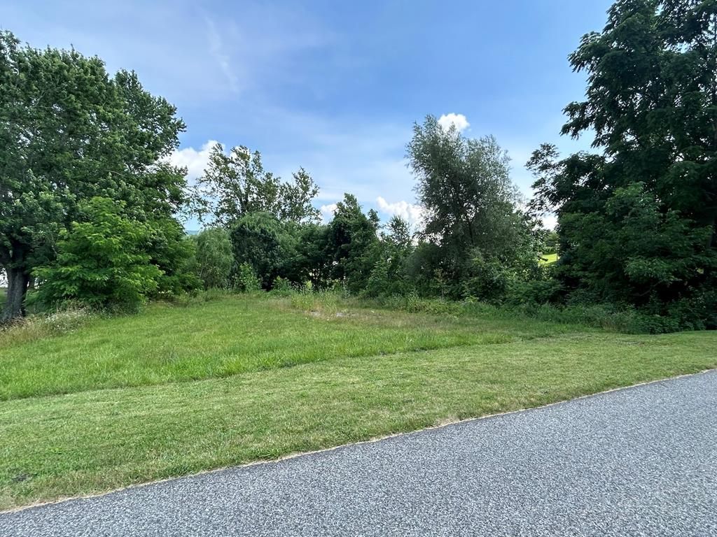 Photo of 52 W North St #1B, Wytheville, VA 24382 (MLS # 105775)