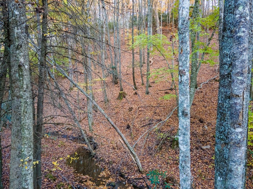Photo of TBD Shady Grove Rd #89, Indian Valley, VA 24380 (MLS # 103645)