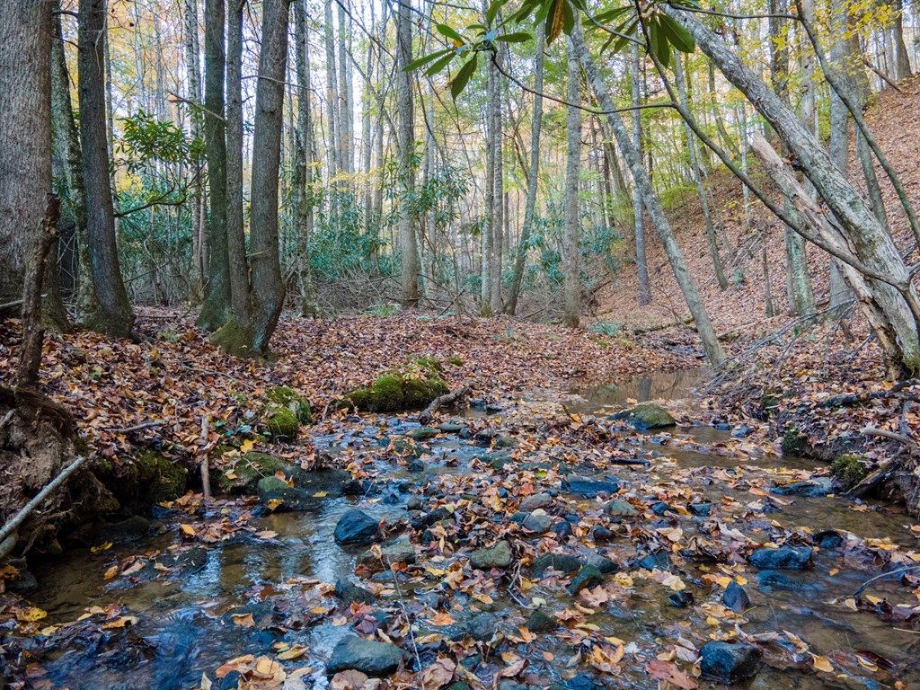 Photo of TBD Shady Grove Rd #89, Indian Valley, VA 24380 (MLS # 103645)