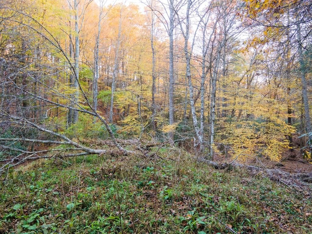 Photo of TBD Shady Grove Rd #89, Indian Valley, VA 24380 (MLS # 103645)